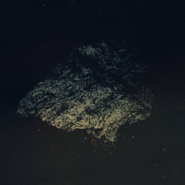 Multicast Dynamics : Lost World (LP, Album)