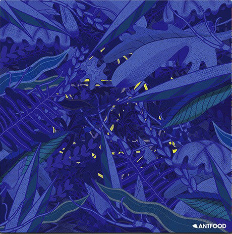 Antfood : Inside/Outside (10&quot;, EP)