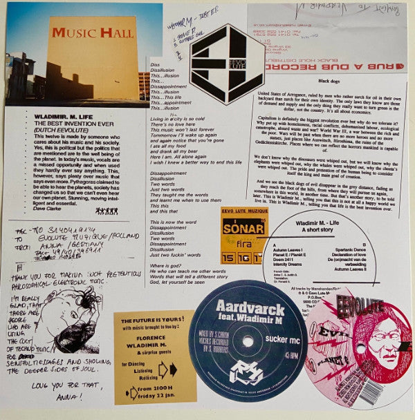 Wladimir M : Leaves Fallin&#39; Recklessly (2xLP, Comp, RE, RM)