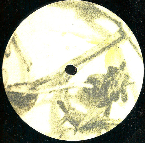 The Optic Crux : Psylocybe (12&quot;)