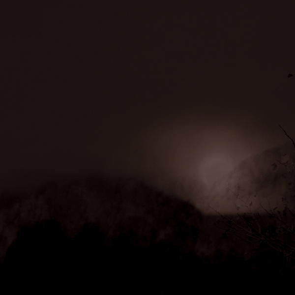 William Fowler Collins : Perdition Hill Radio (CD, Album)