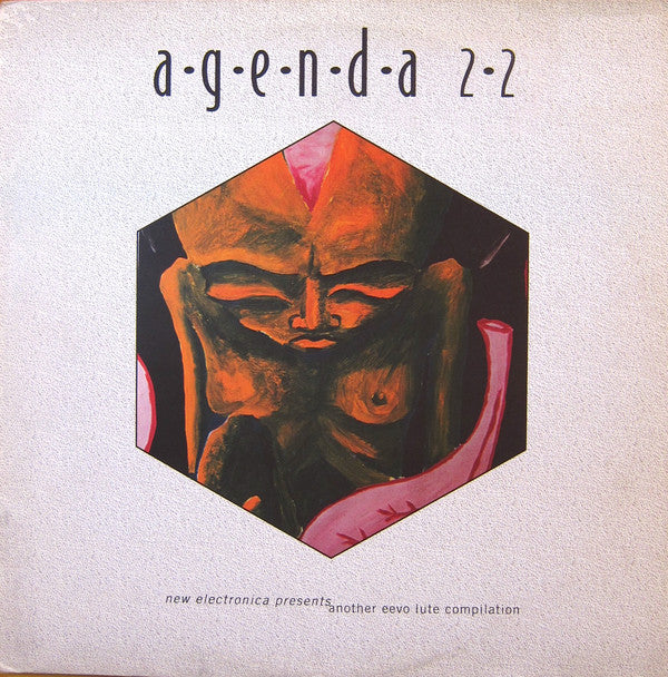 Various : Agenda 22  (Another Eevo Lute Compilation) (2xLP, Album, Comp)