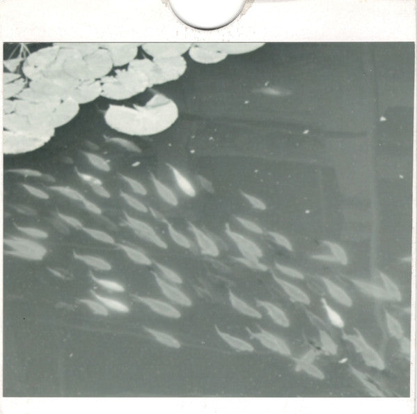 Arc Of Doves : Never Let Me Go (CDr, Album, Ltd, Num)