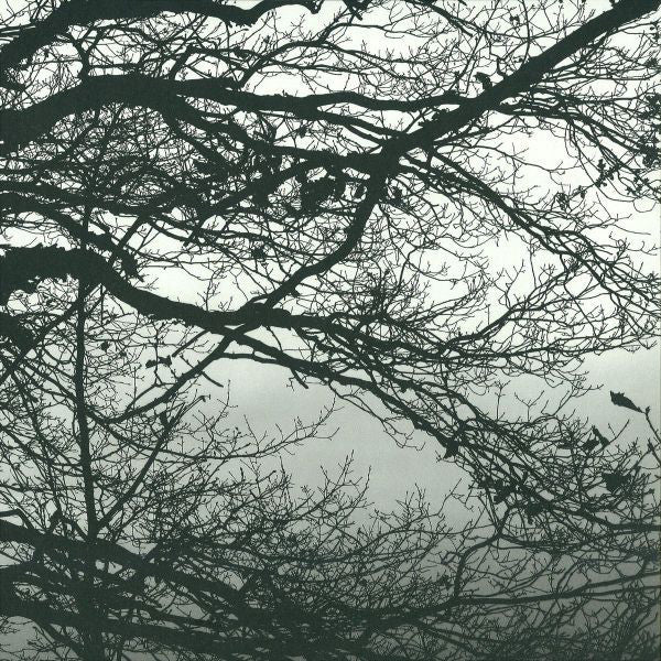 Heisenberg (4) : Ripatti 02 (12&quot;, EP, Ltd)