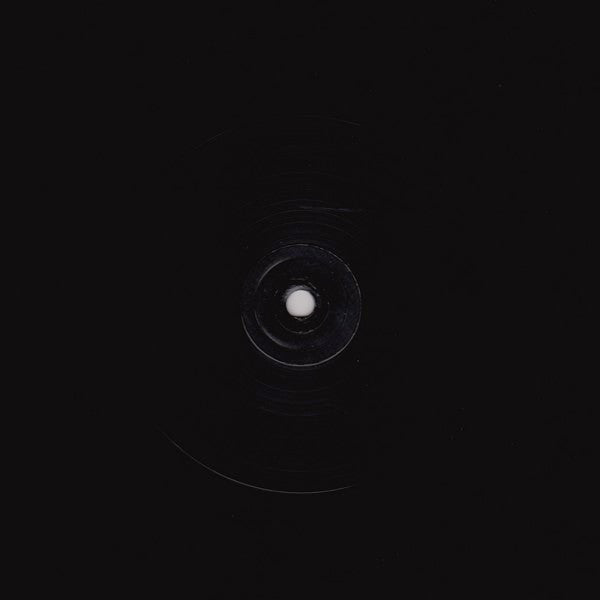 Wishmountain : Wishmountain (2x12&quot;, Ltd)