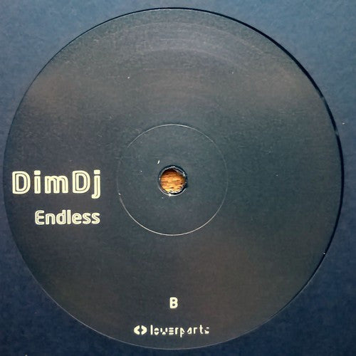 Dim DJ : Endless (12&quot;)