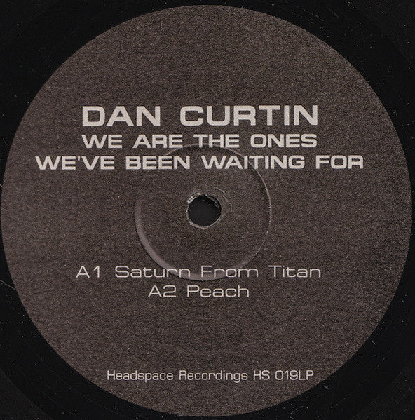 Dan Curtin : We Are The Ones We&#39;ve Been Waiting For (2xLP, Album)