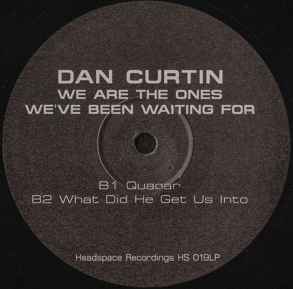 Dan Curtin : We Are The Ones We&#39;ve Been Waiting For (2xLP, Album)