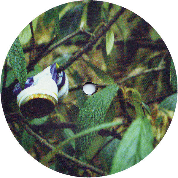 Gabriel Ananda : Während Die Anderen Den Müll Rausbrachten (12&quot;)