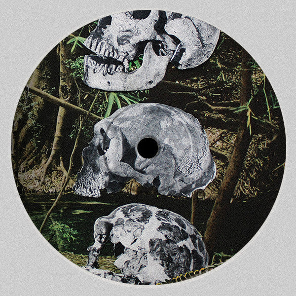 Personal Mythologies : Los Dinosaurios (12&quot;, EP)