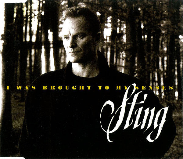 Sting : I Was Brought To My Senses (CD, Maxi, Sli)