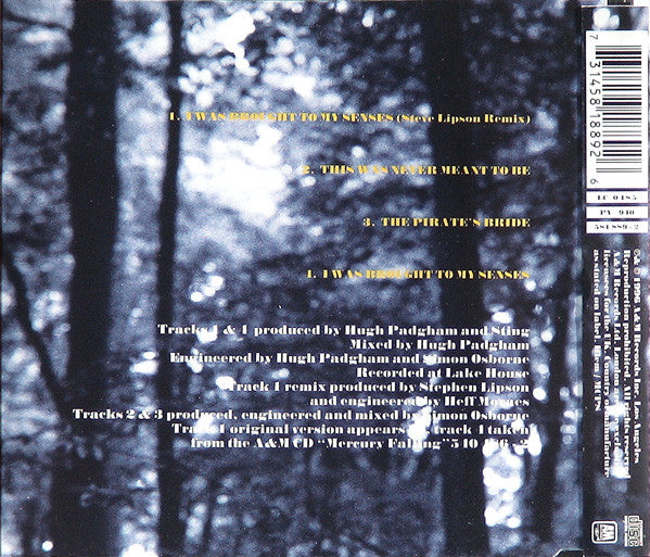 Sting : I Was Brought To My Senses (CD, Maxi, Sli)