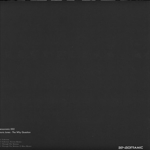 Laura Jones (2) : The Why Question (12&quot;)