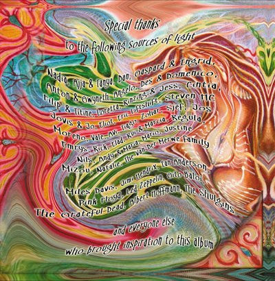 Flooting Grooves : Upsyde Downe (CD, Album)